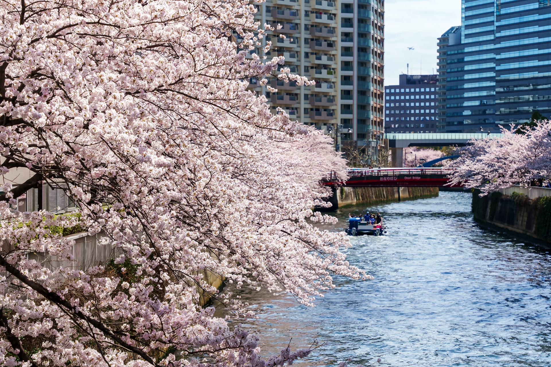 日本のおすすめ観光スポット-春編-