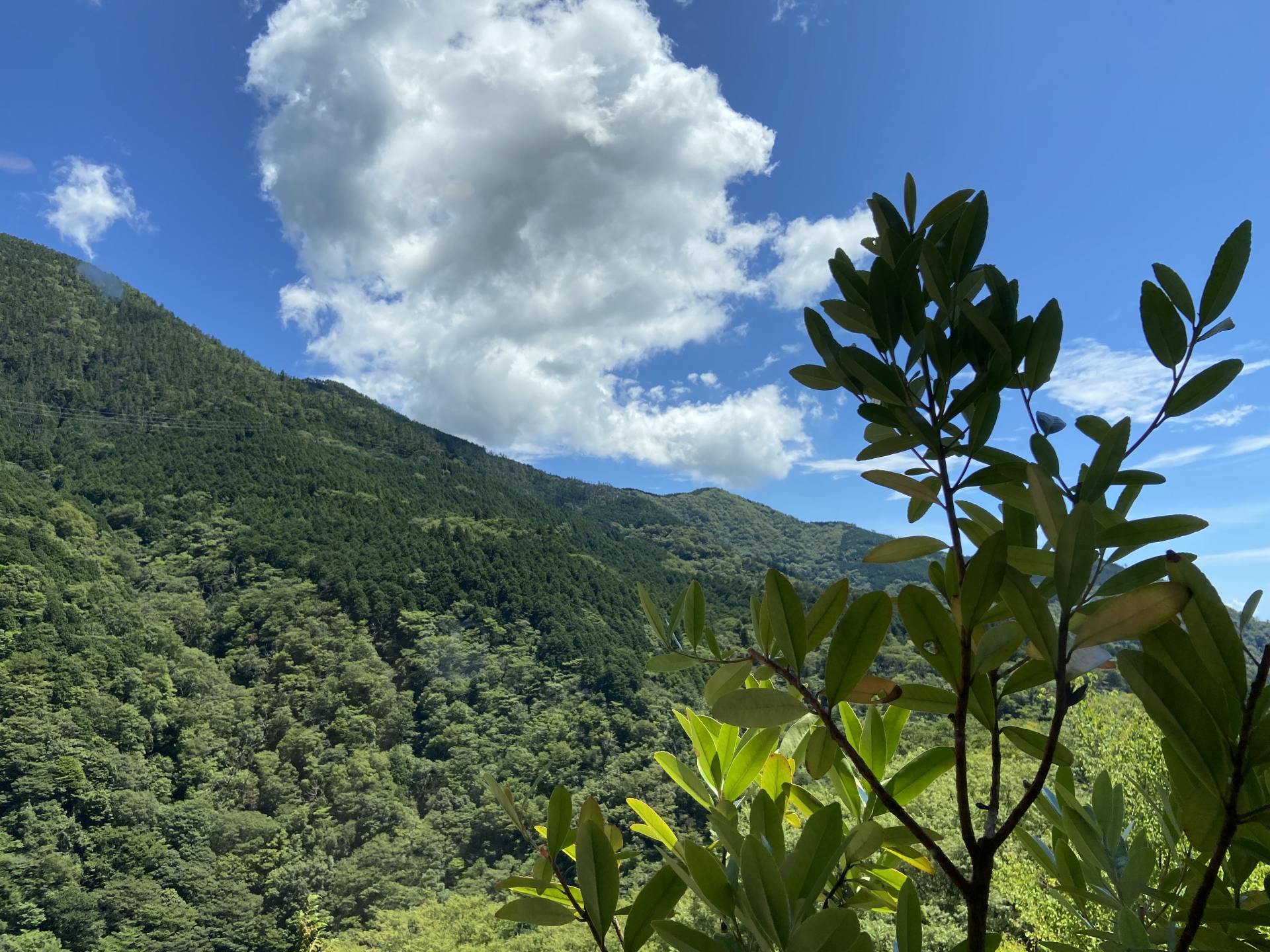 夏におすすめ観光スポット-関東地方編-